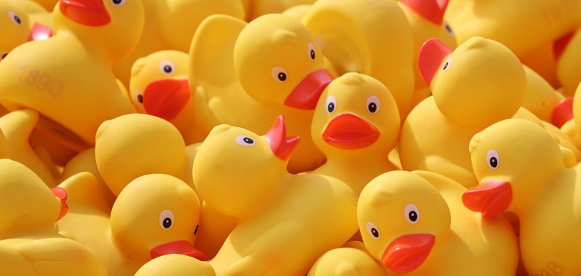 Evaluez la performance de votre Assurance-vie